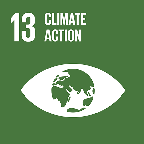 13 climate action 1.png